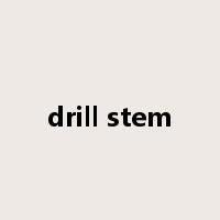 drill stem是什么意思