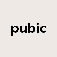 pubic是什么意思