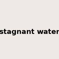 stagnant water是什么意思