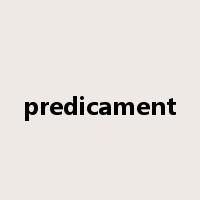 predicament是什么意思