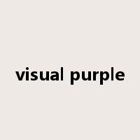 visual purple是什么意思