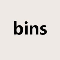 bins是什么意思