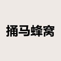 捅马蜂窝是什么意思