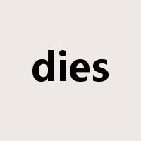 dies是什么意思