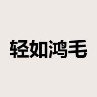 轻如鸿毛是什么意思