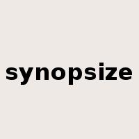 synopsize是什么意思