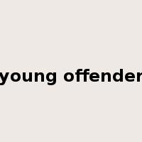 young offender是什么意思