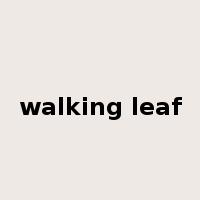 walking leaf是什么意思