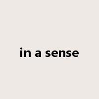in a sense是什么意思