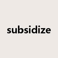 subsidize是什么意思