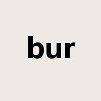 bur是什么意思