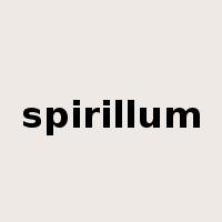 spirillum是什么意思