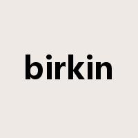 birkin是什么意思