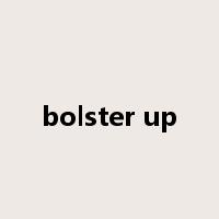 bolster up是什么意思