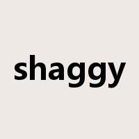 shaggy是什么意思