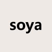 soya是什么意思