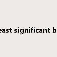 least significant bit是什么意思
