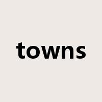 towns是什么意思