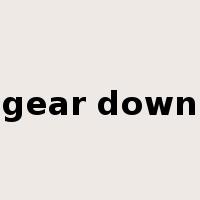 gear down是什么意思