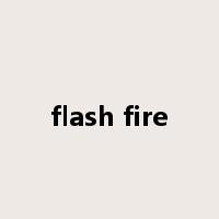 flash fire是什么意思