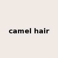 camel hair是什么意思