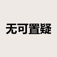 无可置疑是什么意思