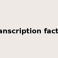 transcription factor是什么意思