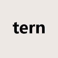 tern是什么意思