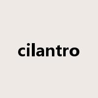 cilantro是什么意思