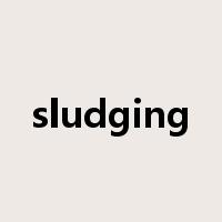 sludging是什么意思
