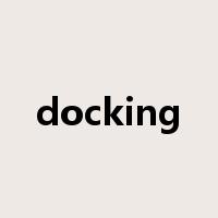 docking是什么意思