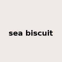 sea biscuit是什么意思