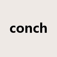conch是什么意思