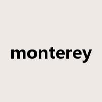 monterey是什么意思