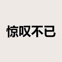 惊叹不已是什么意思