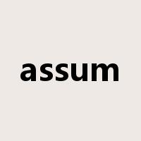 assum是什么意思