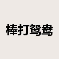 棒打鸳鸯是什么意思