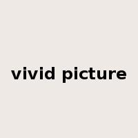 vivid picture是什么意思