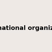 international organization是什么意思