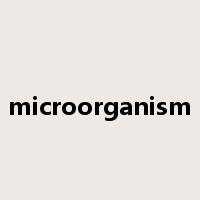microorganism是什么意思