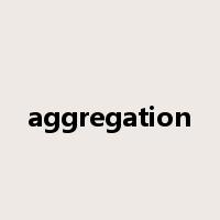 aggregation是什么意思