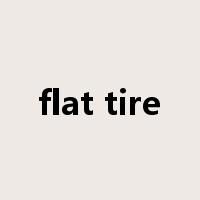 flat tire是什么意思