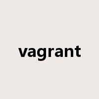 vagrant是什么意思