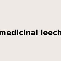 medicinal leech是什么意思