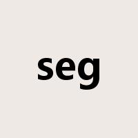 seg是什么意思