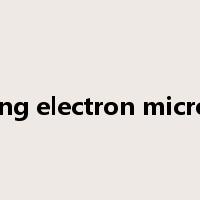 scanning electron microscope是什么意思