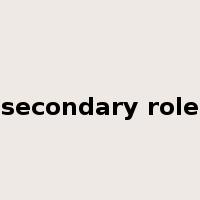 secondary role是什么意思