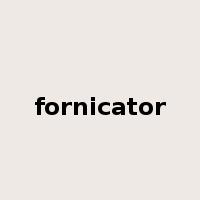 fornicator是什么意思