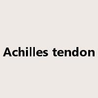 Achilles tendon是什么意思
