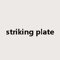 striking plate是什么意思